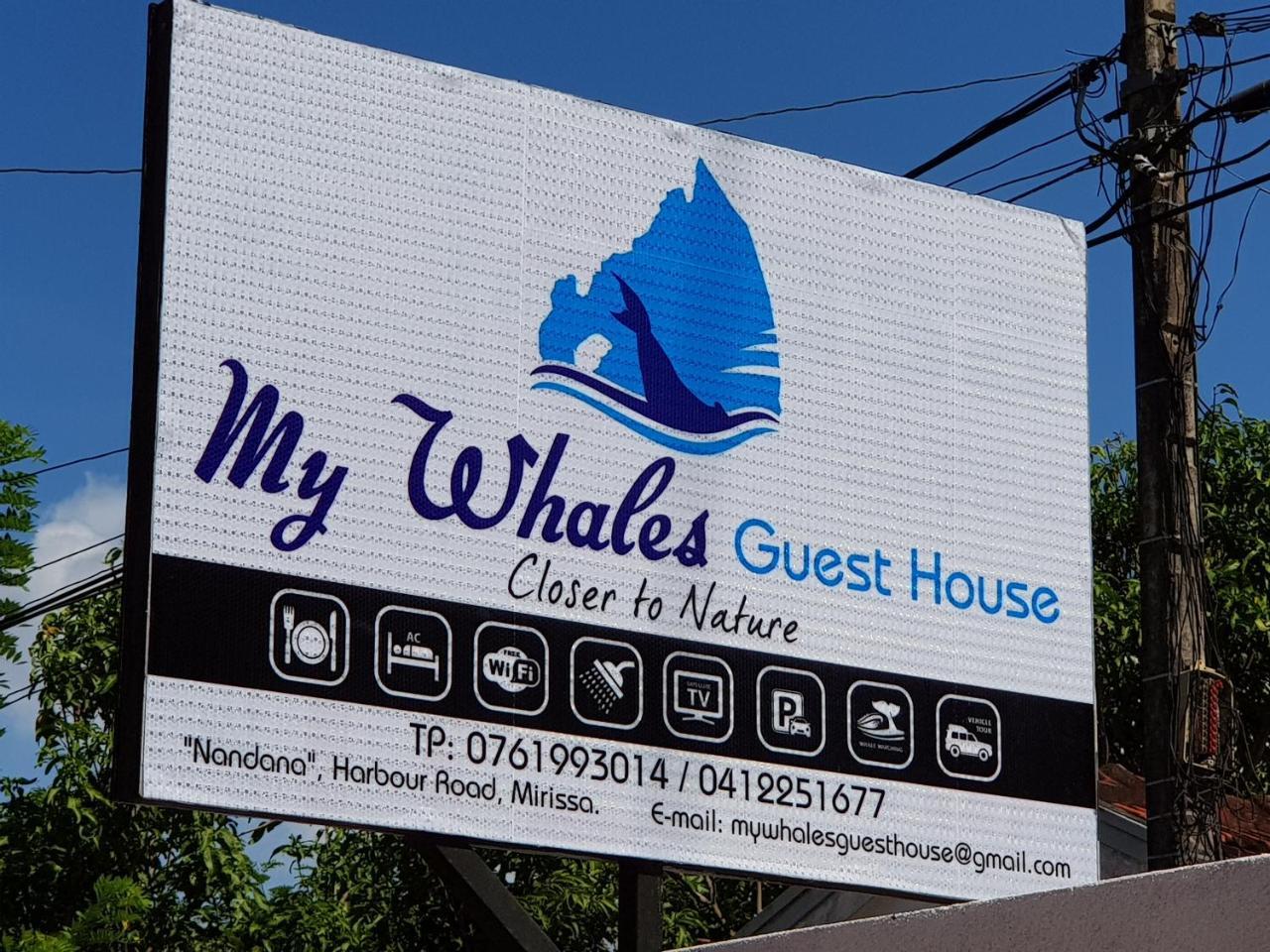 My Whales Guest House Bandaramulla Kültér fotó