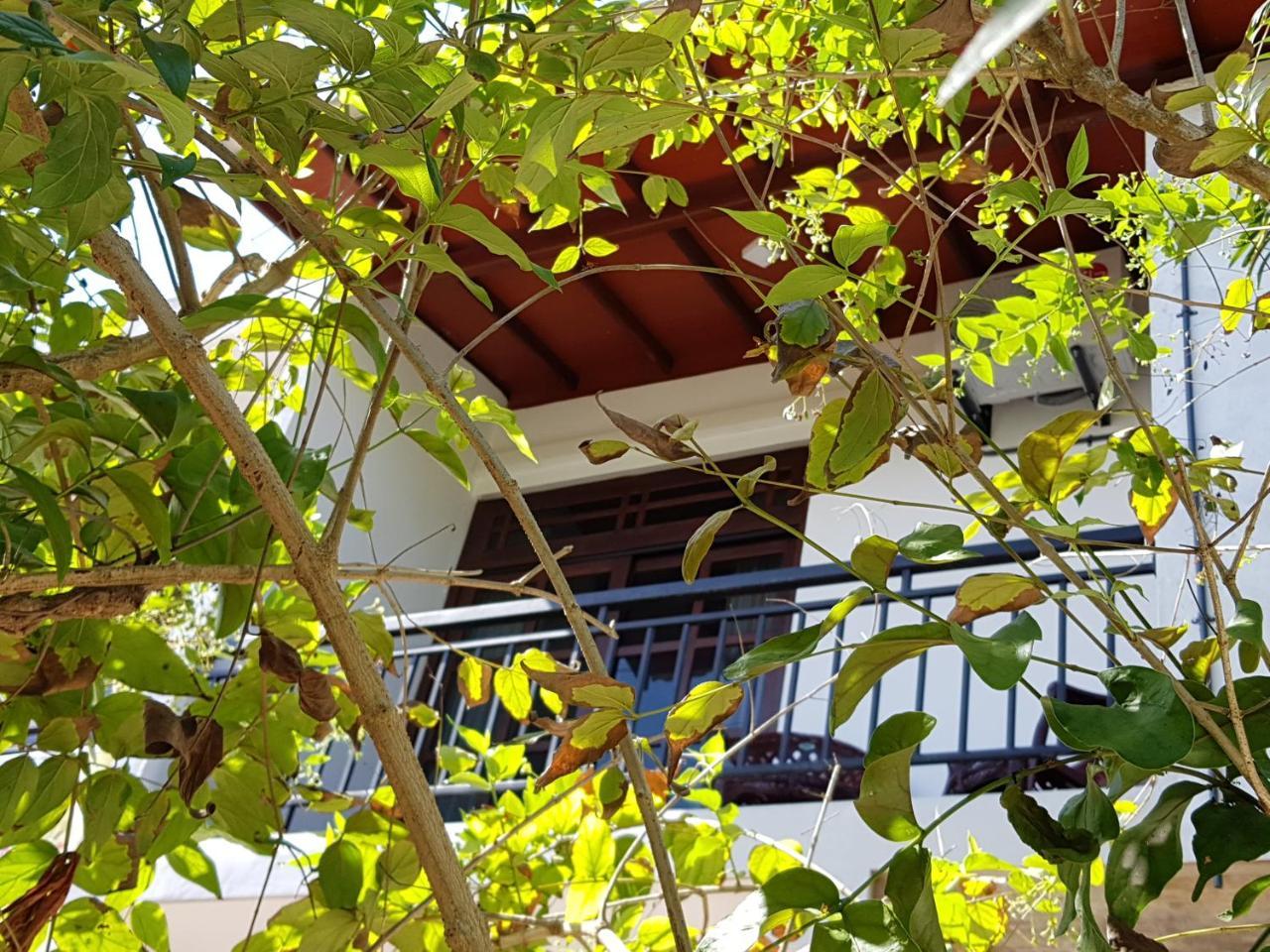 My Whales Guest House Bandaramulla Kültér fotó